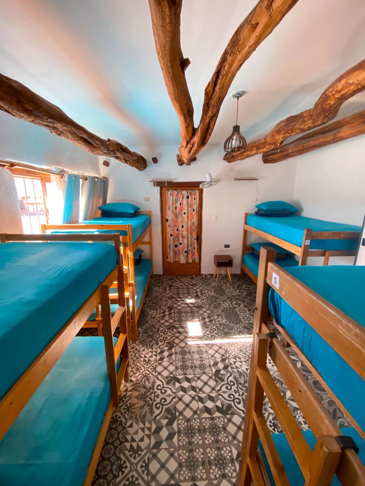 Rey Lagarto Hostel San Pedro De Atacama Esterno foto