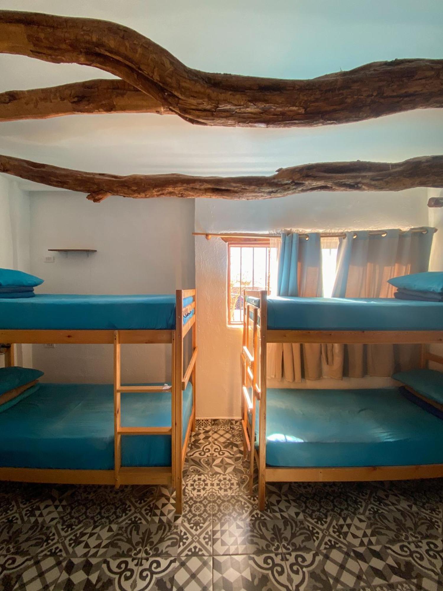 Rey Lagarto Hostel San Pedro De Atacama Esterno foto
